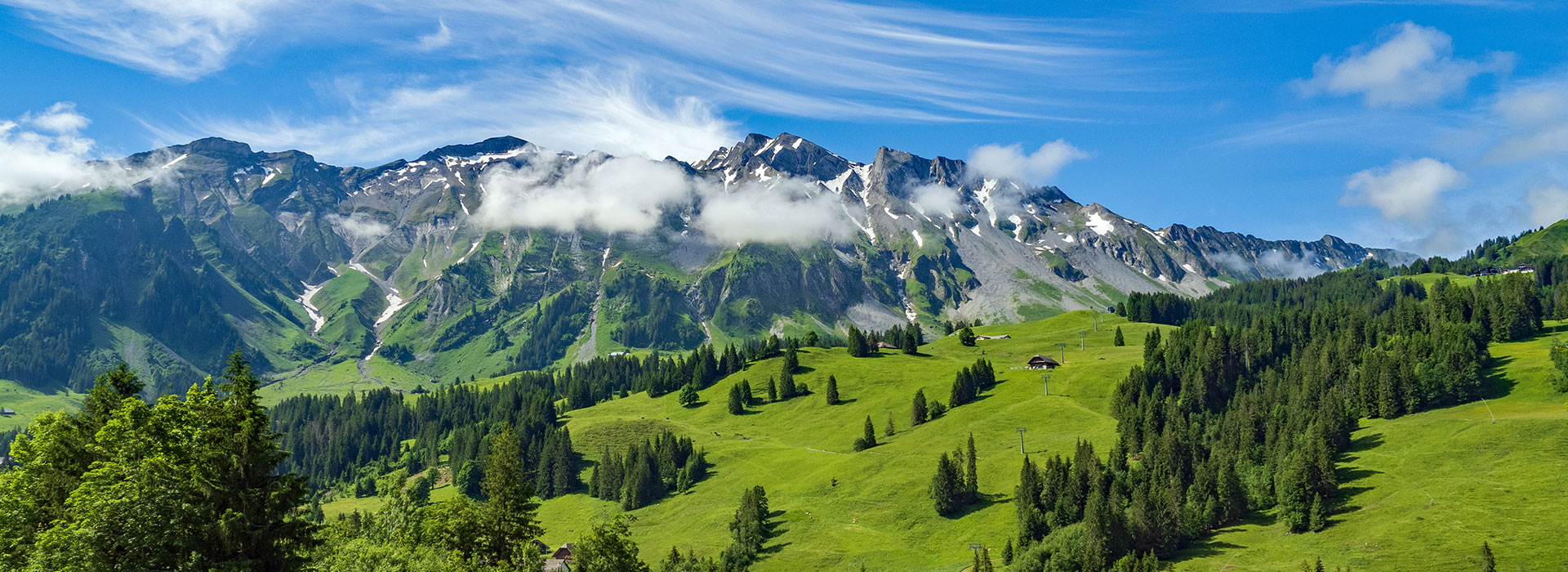 header-1
