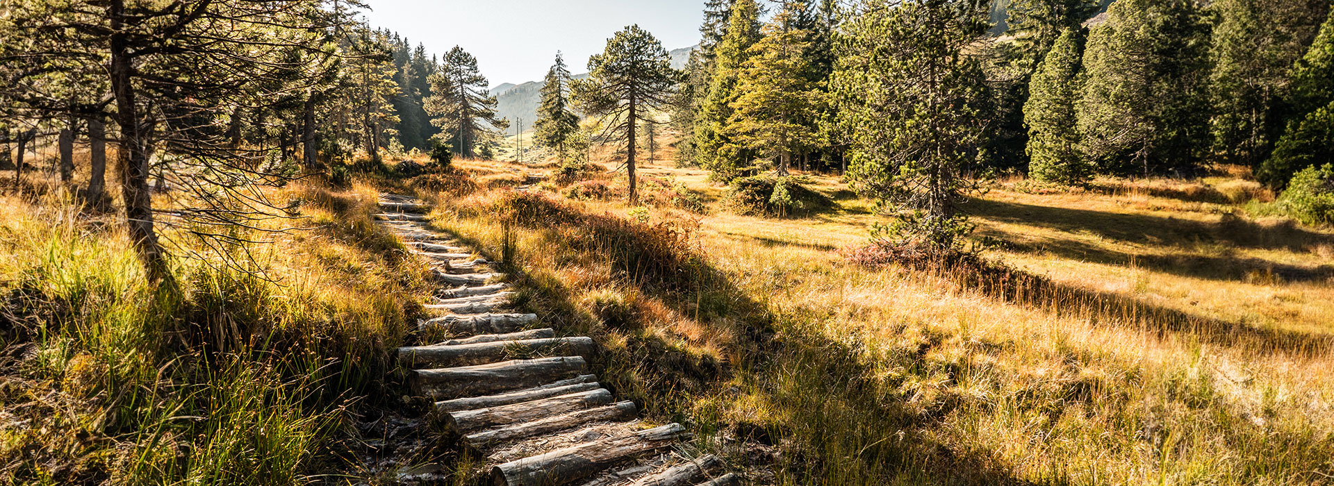 header-herbst-2