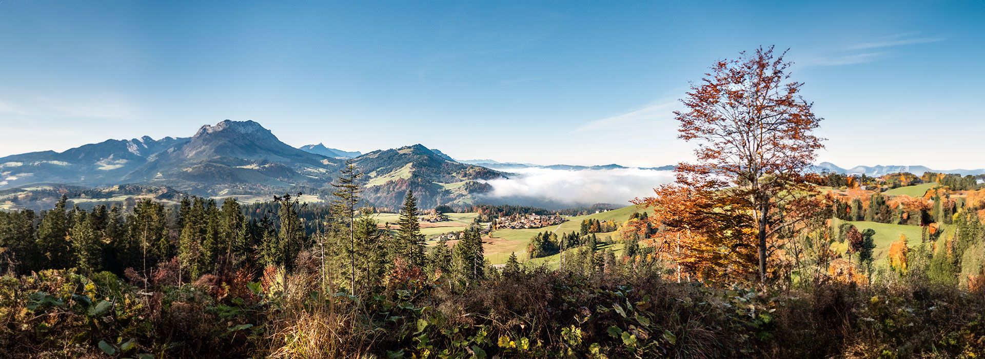 header-herbst-4