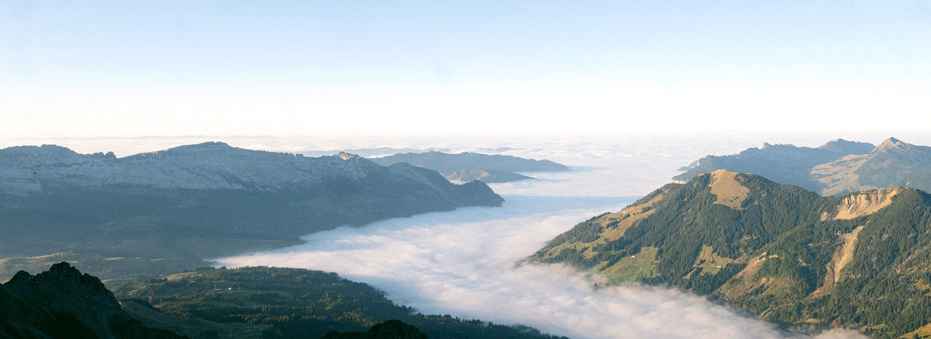 header-neu-landschaft