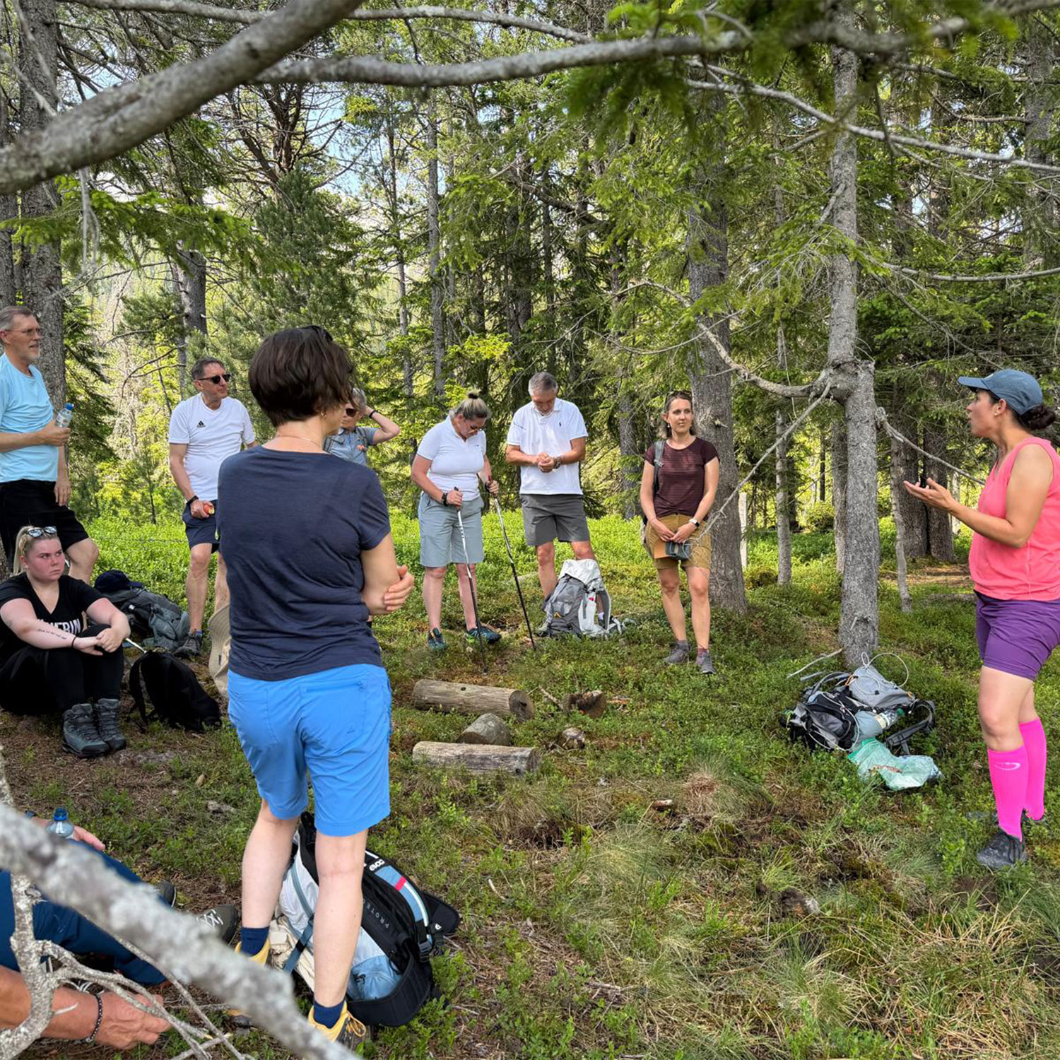 kr-wanderung-2026-1