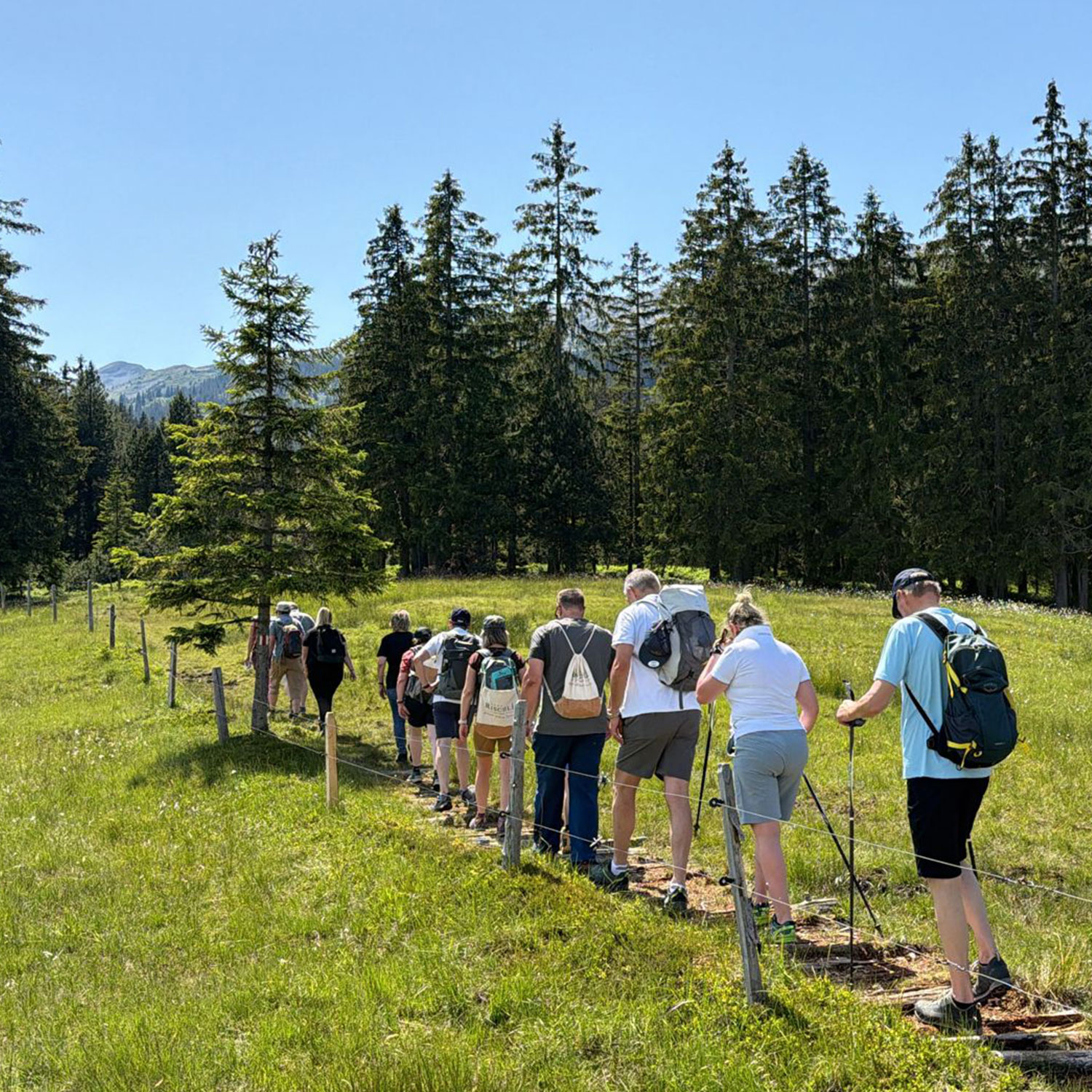 kr-wanderung-2026-3