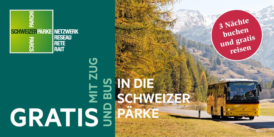 PostAuto_480x240_DE_Retina